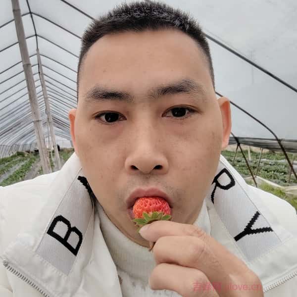 安庆征婚相亲网